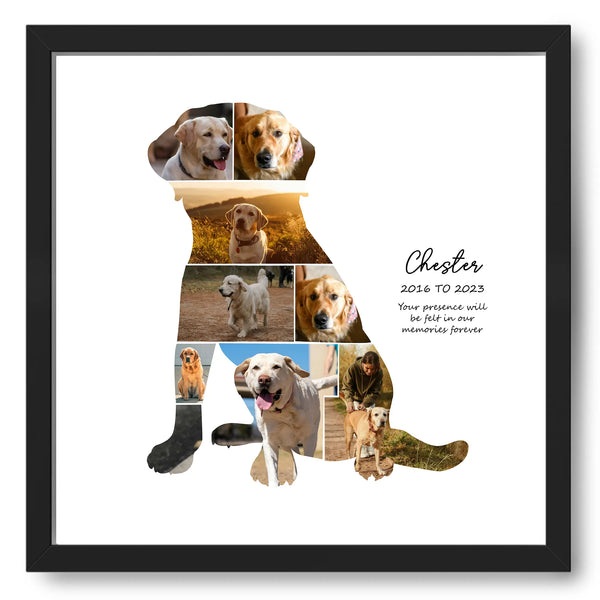 Pet Love Customized Collage