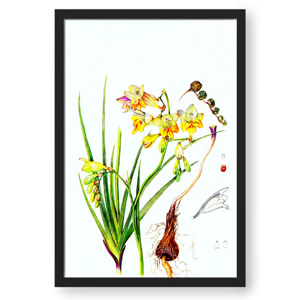 Floral Flower Artwork Framed