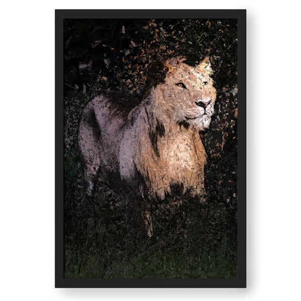 Focussed Lioness Abstract