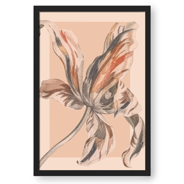 Blooming Flower Colored Pencil Sketch Style