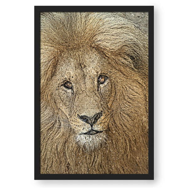 Lion Face Portrait - Colored Pencil Pattern