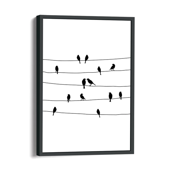 Birds On Wires